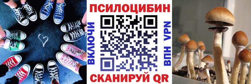 Псилоцибиновые грибы Psilocybine cubensis Одинцово